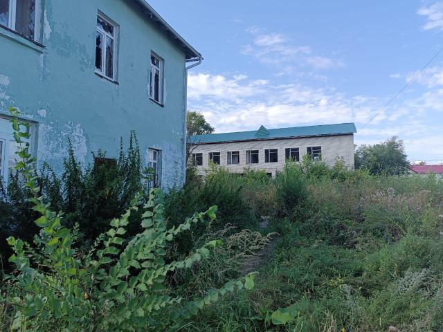 Лот 4028610